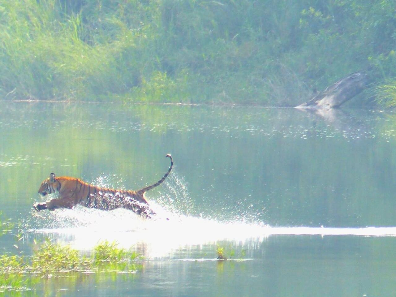 Babai Resort Pvt Ltd Bardiya Экстерьер фото