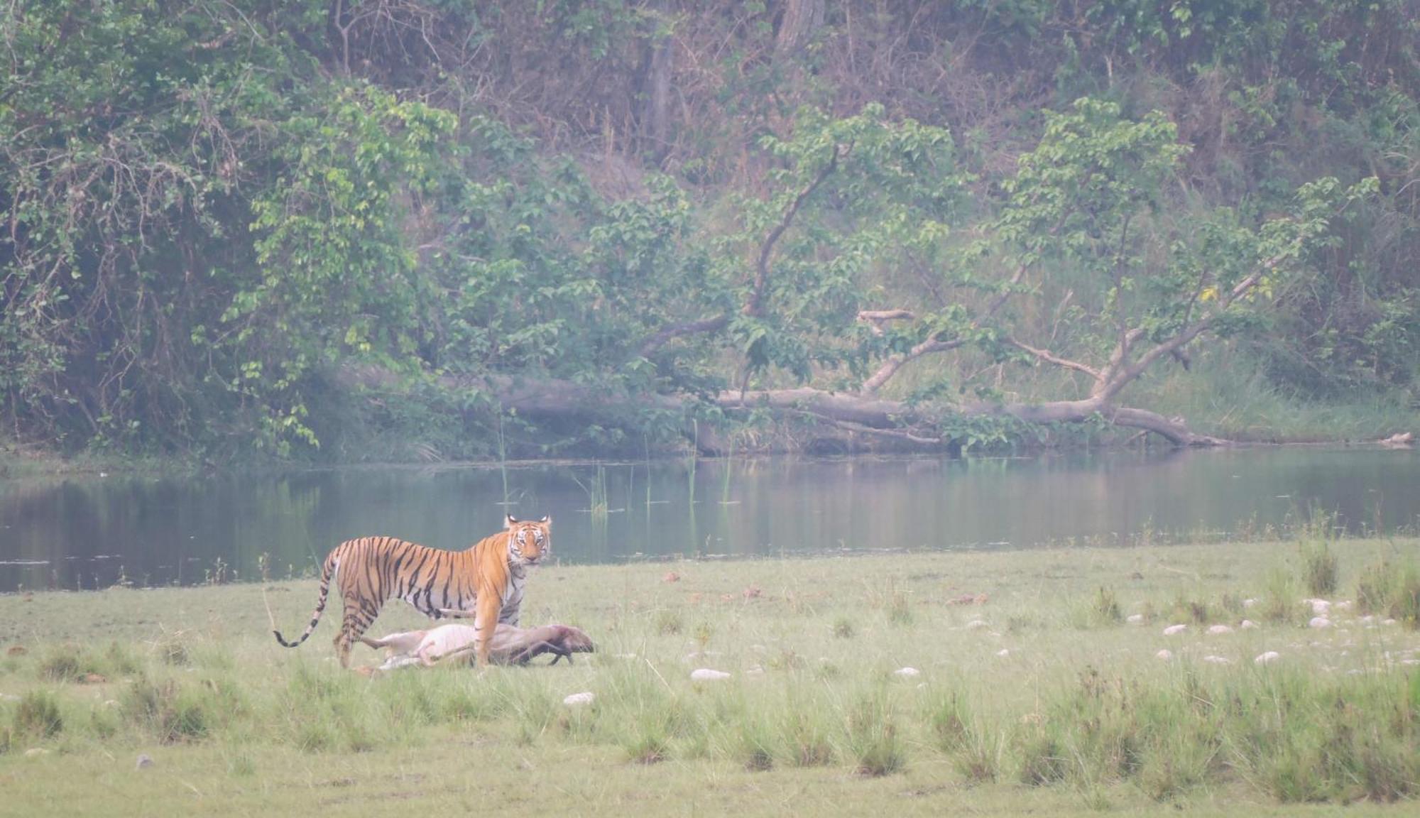 Babai Resort Pvt Ltd Bardiya Экстерьер фото