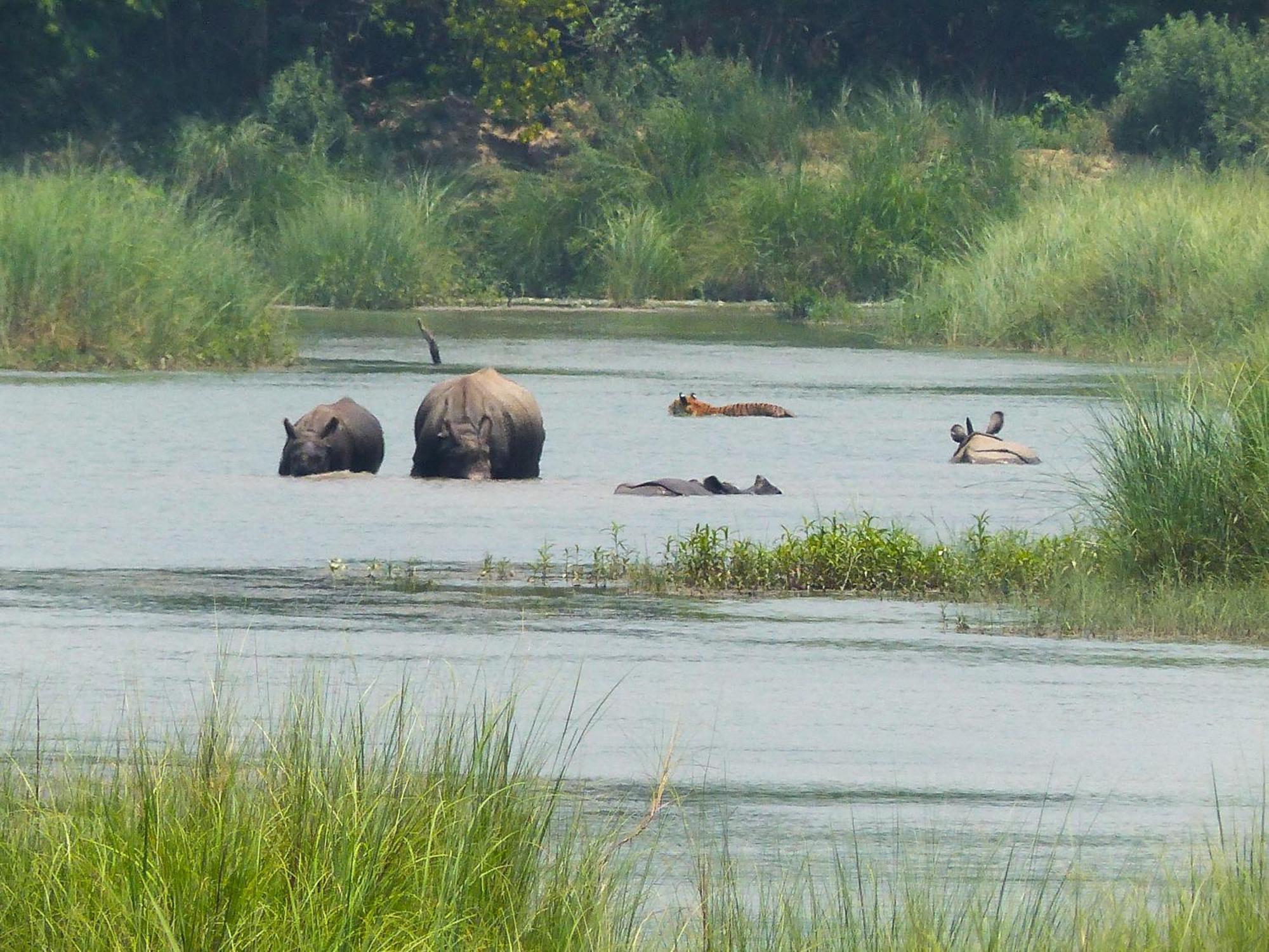 Babai Resort Pvt Ltd Bardiya Экстерьер фото